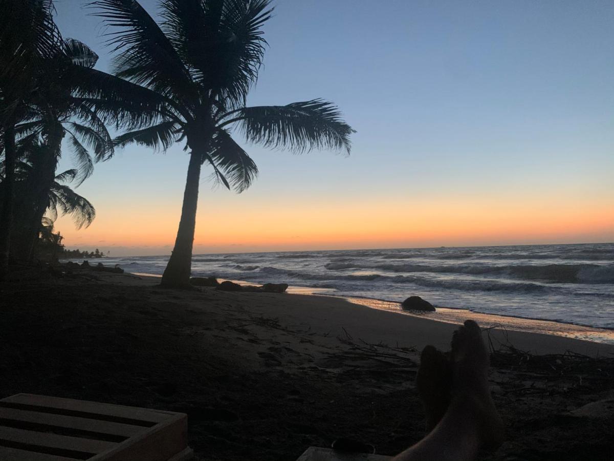 Playa Jaguar - Beach Club Monitos Eksteriør bilde