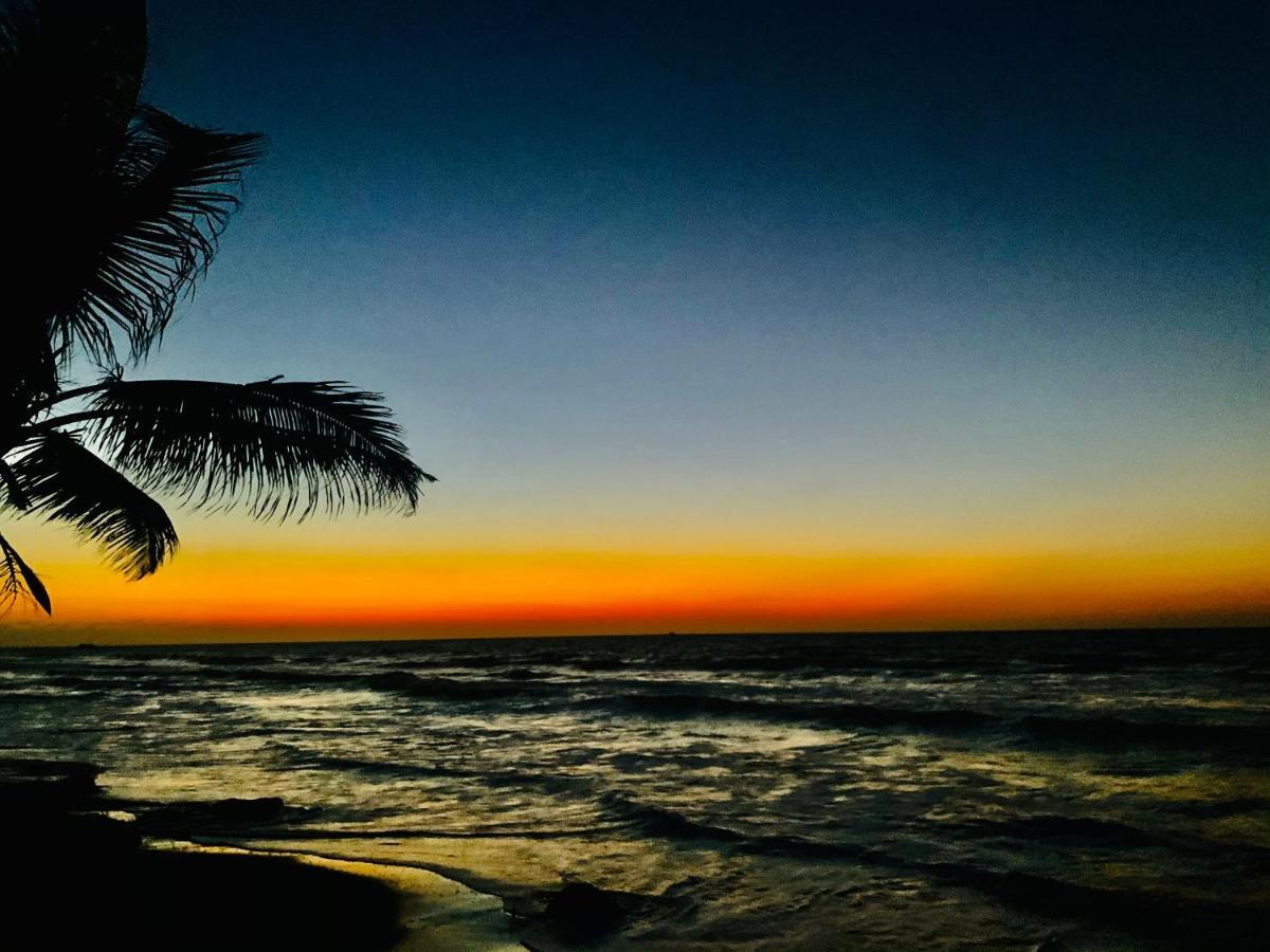 Playa Jaguar - Beach Club Monitos Eksteriør bilde